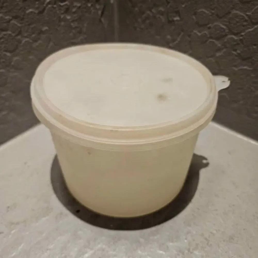 Vintage Tupperware Canister with Lid